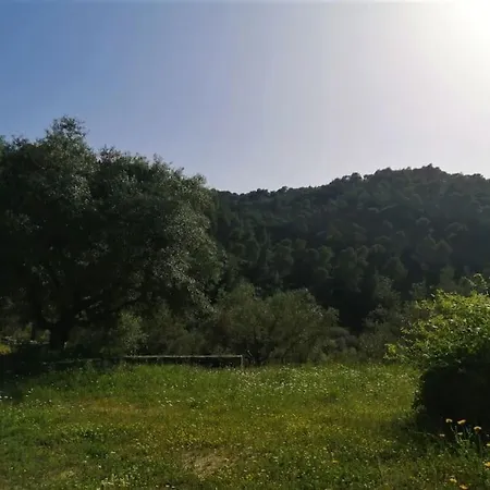 Wood & Stone Dream View House A Holiday home *