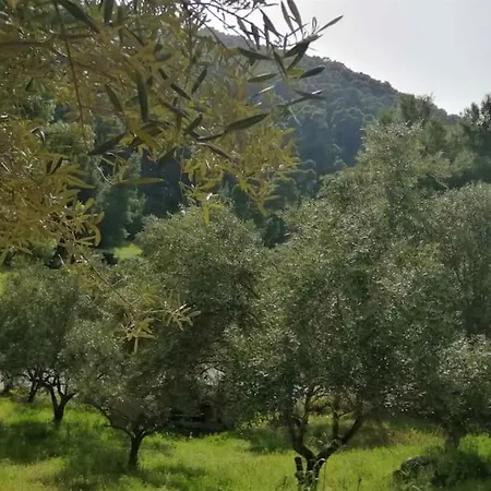 Wood & Stone Dream View House A Holiday home Diaporos