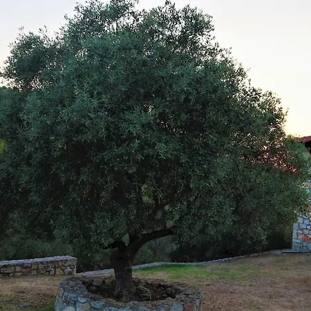 Wood & Stone Dream View House A Σπίτι διακοπών Διάπορος